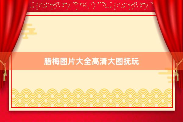 腊梅图片大全高清大图抚玩