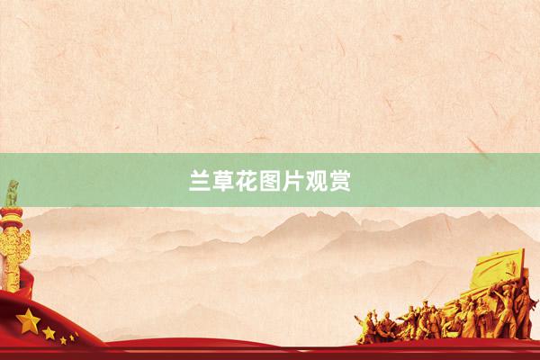 兰草花图片观赏