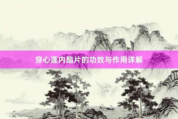 穿心莲内酯片的功效与作用详解